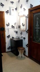 ��������� �������� ���-����, �������, �����������, ���������� ���� 6