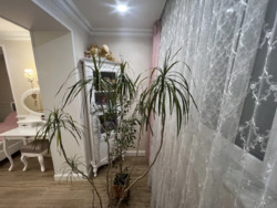 ��������� �������� �������, 96/2, �������, �����������, �����������, ������� - 9 ���������� ���� 3