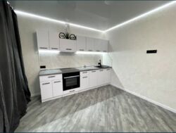 ��������� �������� �������, �������, �����������, ���������� ���� 2