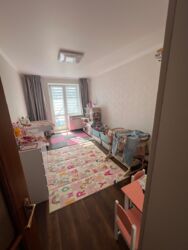 ��������� �������� ����������� ������� + �����, 8�, �������, �����������, �����������, ������ ���� 13