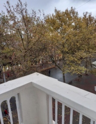 Сталинка напротив детского мира фото 7 Сталинка напротив детского мира фото 7