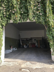 ��������� �������� ������� ����, �������, �����������, ���������� ���� 19