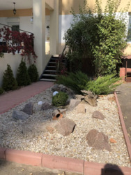 ��������� �������� ������� ����, �������, �����������, ���������� ���� 10