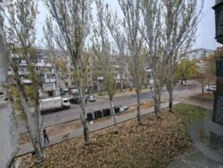 ��������� �������� ������ (���������), �������, �����������, ���������� ���� 10