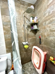 ��������� �������� ���������� �����, �������, �����������, ���������� ���� 21