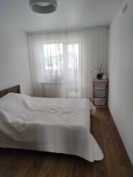 ��������� �������� 12 ����������, �������, �����������, ���������� ���� 7