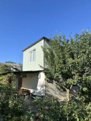 ��������� �������� ���� ������� �����, �������, ����������� ���� 1