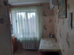 ��������� �������� �����������, �������, �����������, ���������� ���� 11