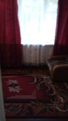 ��������� �������� �����������, �������, �����������, ���������� ���� 15