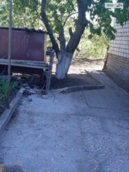 ��������� �������� ���� ��������� �������, �������, ����������� ���� 13