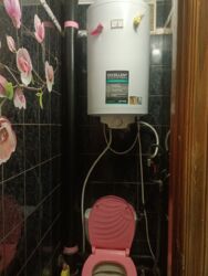 ��������� �������� �����������, 54, �������, �����������, ����������� ���� 5