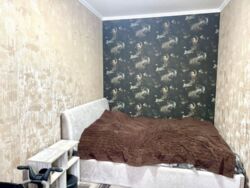 ��������� �������� ���������� �����, �������, �����������, ���������� ���� 17