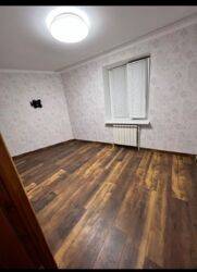 ��������� �������� ����������� ������� + �����, 8�, �������, �����������, �����������, ������ ���� 5