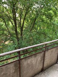 ��������� �������� ����������, �������, �����������, ����������, ����� ���� 7