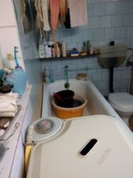 ��������� �������� ���� ���������, �������, ����������� ���� 8