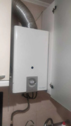 ��������� �������� �������, 11, �������, �����������, ���������� ���� 20