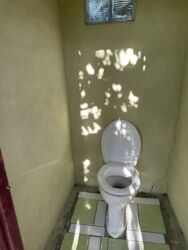 ��������� �������� ���� ������� �����, �������, ����������� ���� 4