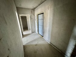 ��������� �������� ������������, �������, �����������, ����������� ���� 3