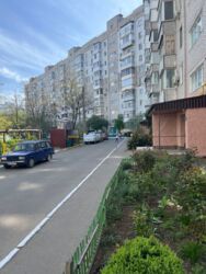 ��������� �������� ����������� ������� + �����, 8�, �������, �����������, �����������, ������ ���� 11