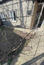 ��������� �������� �������, �����������, ���������� ���� 9