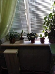 Продаж 4 кімнатної квартири по вул. Паркова фото 3 Продаж 4 кімнатної квартири по вул. Паркова фото 3