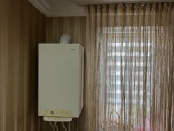 ��������� �������� ����������� ������� + �����, 8�, �������, �����������, �����������, ������ ���� 7