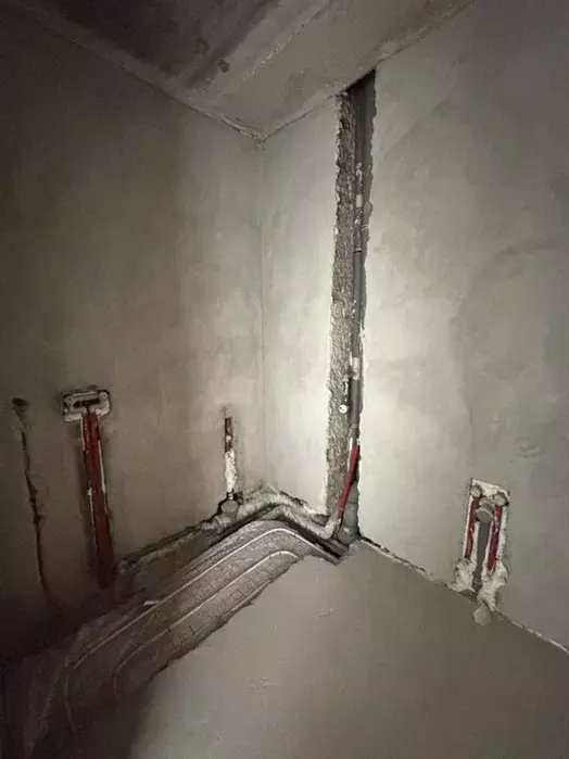 ��������� �������� �����-����������, �����-��������� ����, ��������, 24 ������ ���� 1