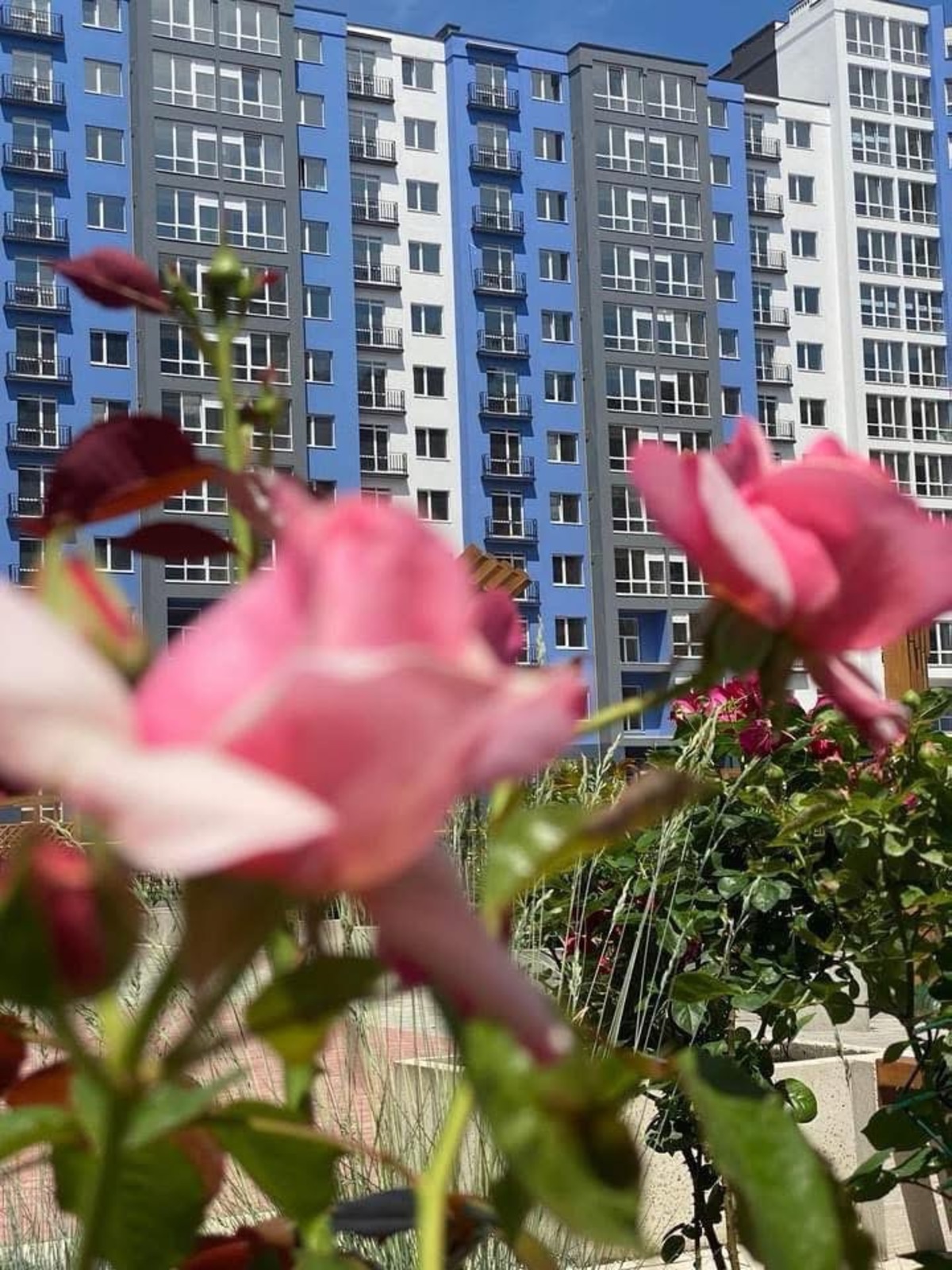 Продається квартира Івано-Франківська, Івано-Франківськ, Центр, Княгинин вул., 44 фото 1 Продається квартира Івано-Франківська, Івано-Франківськ, Центр, Княгинин вул., 44 фото 1