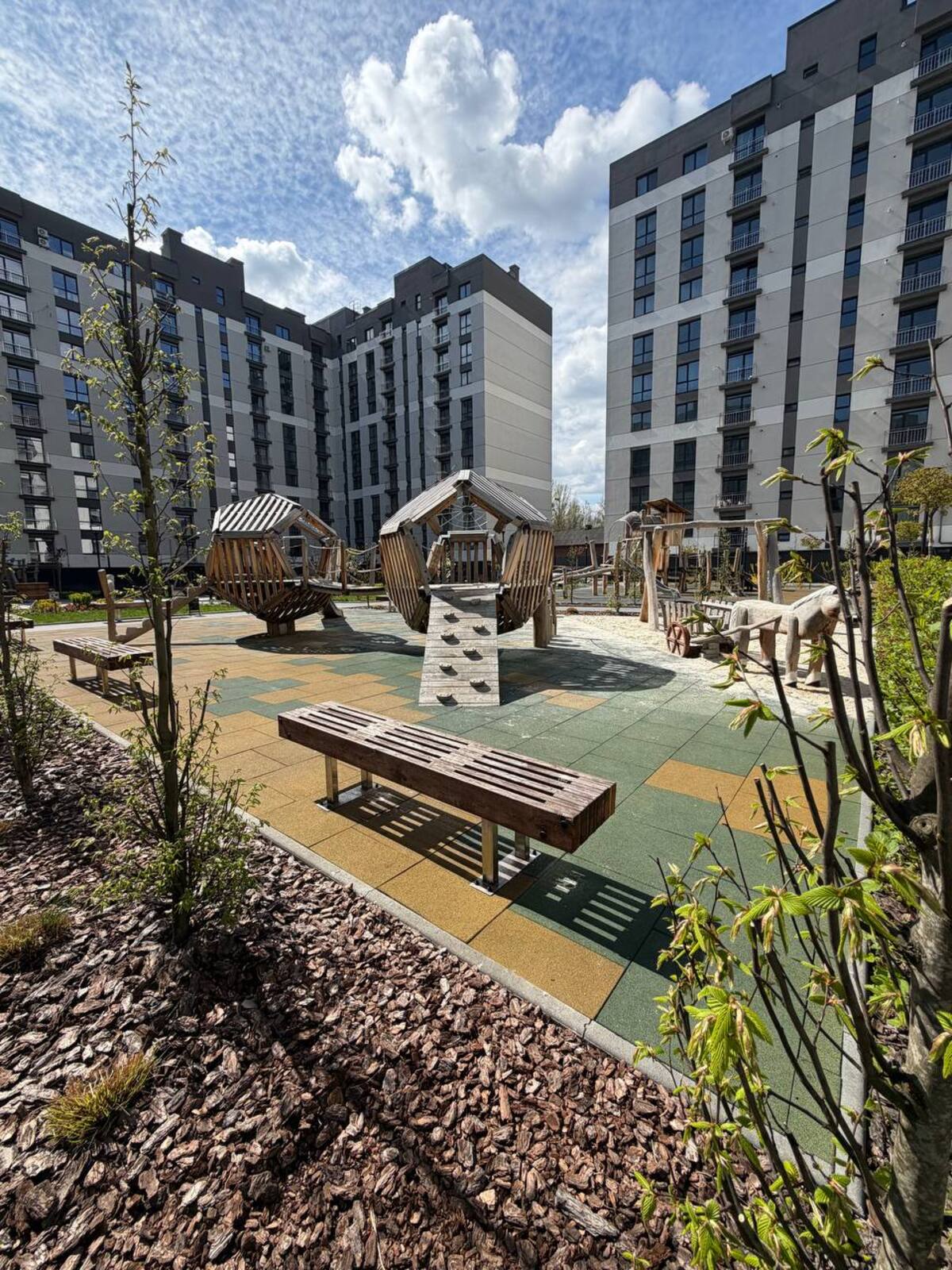 ��������� �������� �������� �. ���., 31�, �����-���������, �����-����������, ����� ���� 1