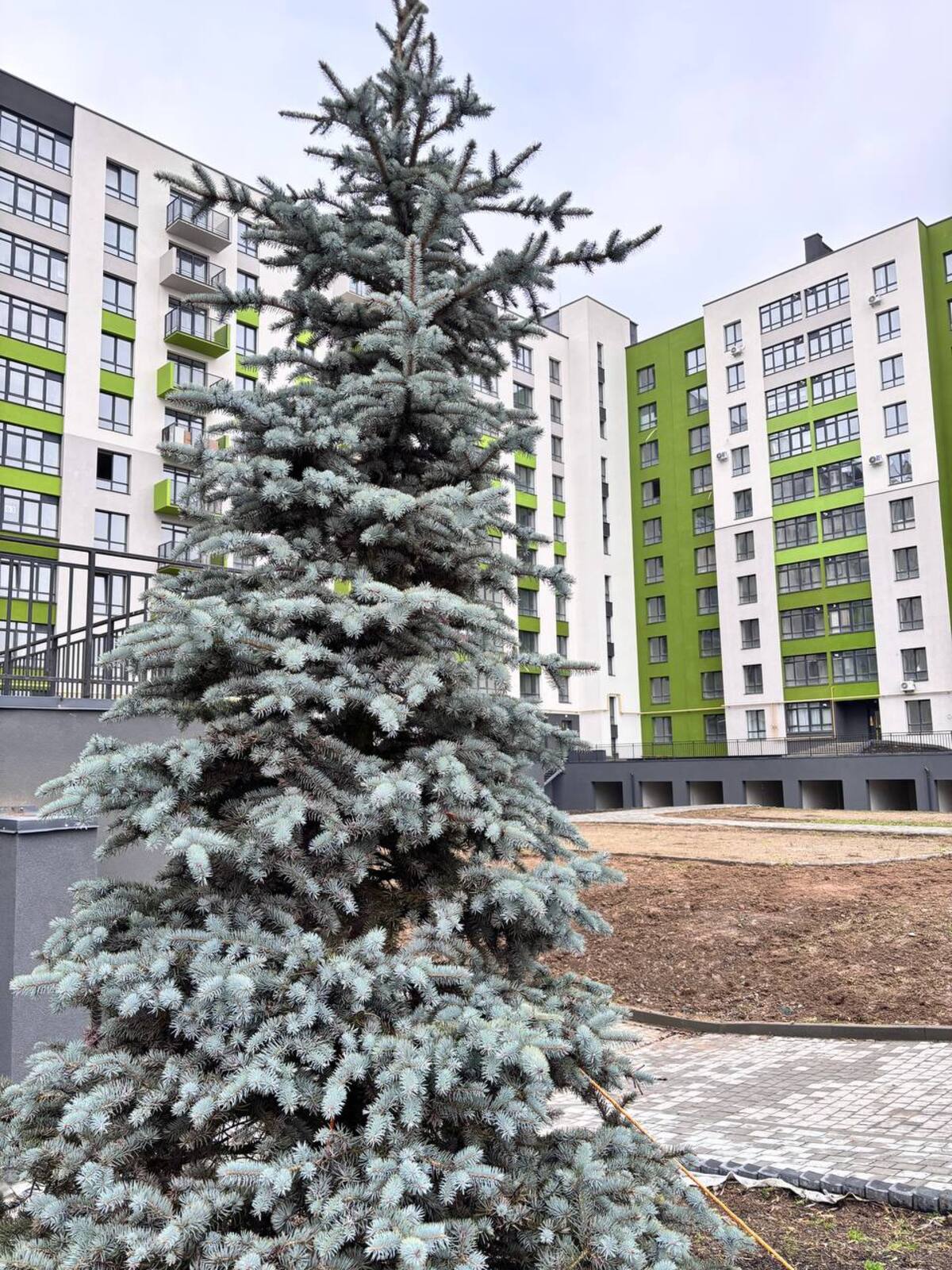 ��������� �������� �����-����������, �����-���������, ����� ���� 1