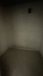 ��������� �������� �����-����������, �����-���������, ������, �������� ���� 15