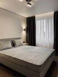 ��������� �������� ������� �. ���., �����-���������, �����-����������, ������� ���� 11