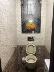 ��������� �������� �����-����������, �����-���������, ������, �������� ���., 120� ���� 5