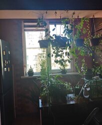 ��������� �������� ��������� �. ���., �����-���������, �����-����������, ������ ���� 5