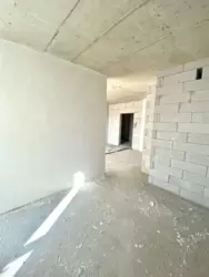 ��������� �������� �����-���������, �����-���������� ���� 7