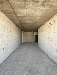   -, -, , ϳ -  8
