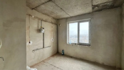 ��������� �������� �����-����������, �����-���������, ���, �������� �. ���. ���� 19