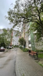 ��������� �������� ����������� �. ���., �����-���������, �����-����������, ������ ���� 4