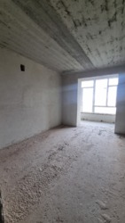 ��������� �������� ��������, �����-���������, �����-����������, ����� ���� 5