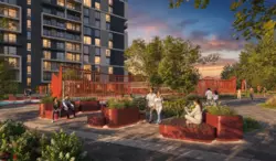 ��������� �������� ճ��� ���., �����-���������, �����-����������, ������ ���� 5