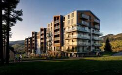 ��������� �������� �����-����������, ������, �������� ���� 4