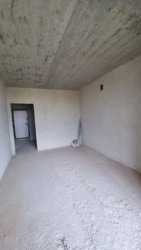 ��������� �������� ��������, �����-���������, �����-����������, ����� ���� 8