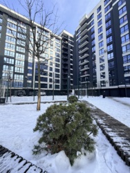 ��������� �������� ճ���, �����-���������, �����-����������, ������ ���� 1