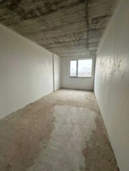 ��������� �������� �����-���������, �����-���������� ���� 6