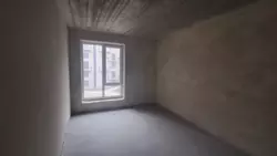 ��������� �������� �����-����������, �����-��������� ����, ��������, 11 ���� 3