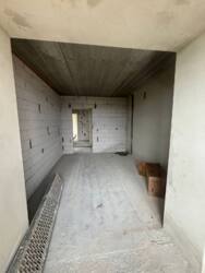 ��������� �������� ������, �����-���������, �����-����������, ������� ���� 7