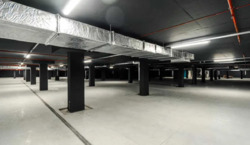 ��������� �������� �����-����������, �����-���������, �����, ����� ������ ���� 19