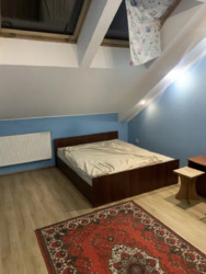 ��������� �������� �����-����������, �����-���������, ������, �������� ���. ���� 15