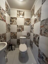 ��������� �������� ������, 1�, ��������, �����-��������� ����, �����-���������� ���� 13