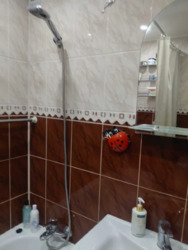 ��������� �������� ��������� �. ���., �����-���������, �����-����������, ��������� ���� 21